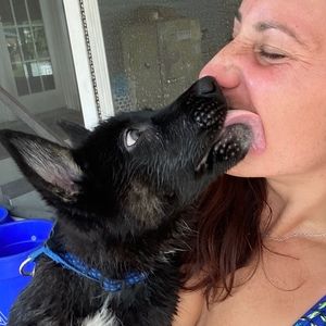 Meet your Posher, Laura